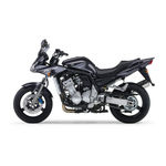 Yamaha FZS1000 RN06 RN14 01-06 reservedele