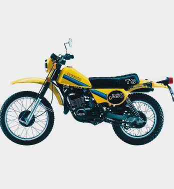 Suzuki TS250 TS2504 SJ11B reservedele