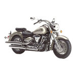 Yamaha XV1600 Wild Star VP08 99-05 reservedele