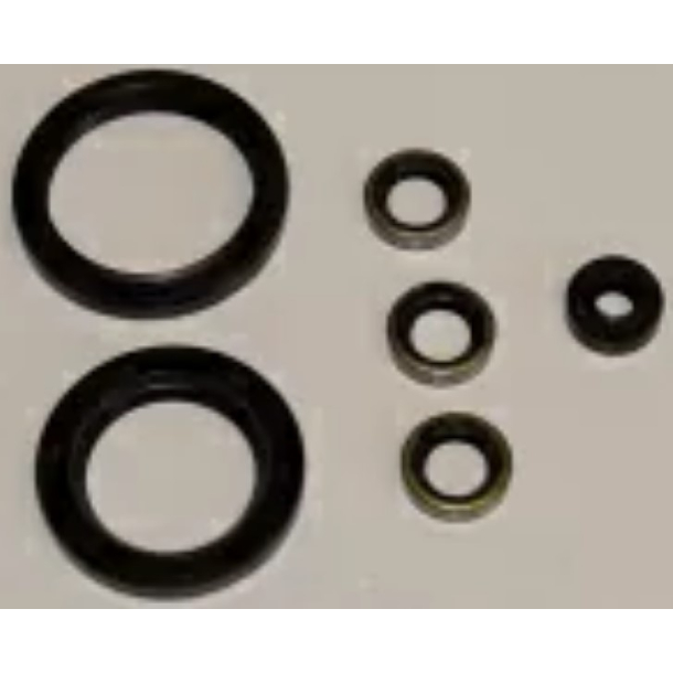 Motor pakdse kit KAWASAKI OSL-410 Z1000J GPZ1100 Z1000R Z1100GP