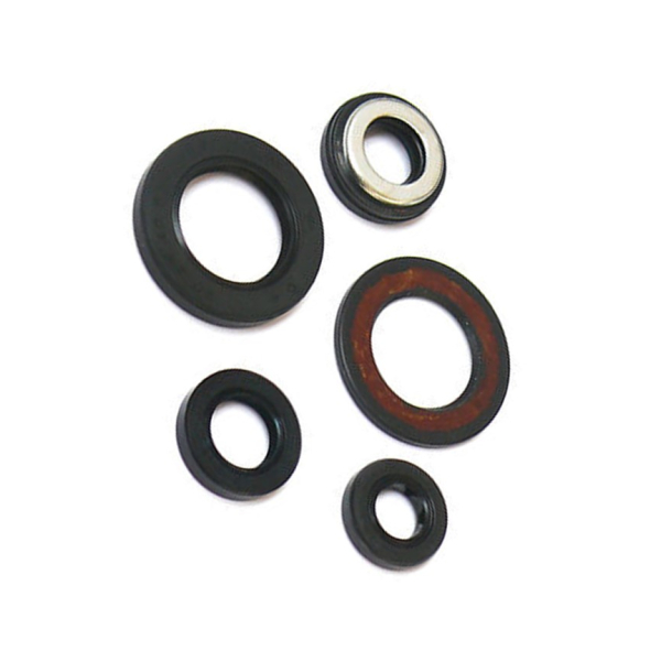 Motor pakd�sekit�OSL-224�MZ�Baghira Mastiff Skorpion 660 Yamaha�XT600 SZR660�XTZ660