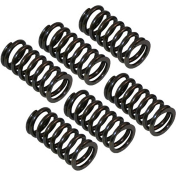 Forstrkede KoblingsFjedre SK-204 YAMAHASR400SR500TT500XT500XV920XV1000 TR1 FJ1100