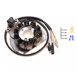 Stator G146 84x29-14MM KTM 2T EXC125 EXC200 EXC300 GAS GAS EC125 SM125 EC200 EC250 SM250 EC300 Wild 