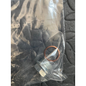 BUNDPROP MED MAGNET 18x1,5 mm Magnet-olieaftapningsskrue