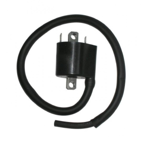 Suzuki 33410-06G00 3341006G00 f6t559 COIL ASSY, IGNITION SV1000S 03-07 DL1000 02-18