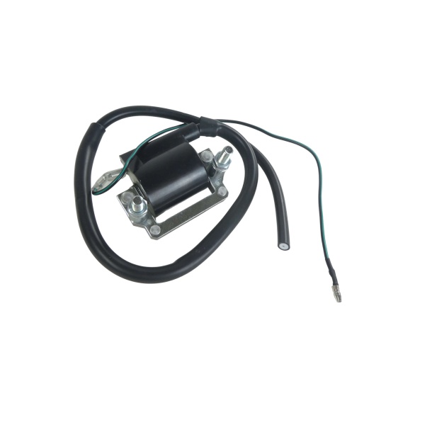 T�NDSPOLE 6V IGNITION COIL ASSY (NON O.E. ALTERNATIVE) Yamaha 355-82310-40�FS1�DT50�DT80 DT100 DT400