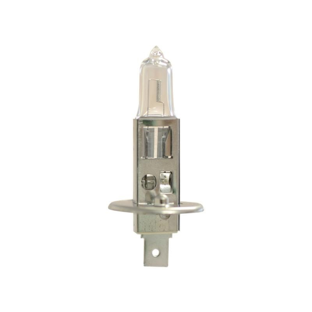 P�re 12V100W H1 P14,5S