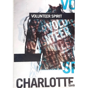 BRUGT som ny -  VOLUNTEER SPIRIT DVD CHARLOTTE GAMBILL ABUNDANT LIFE CHURCH - CD