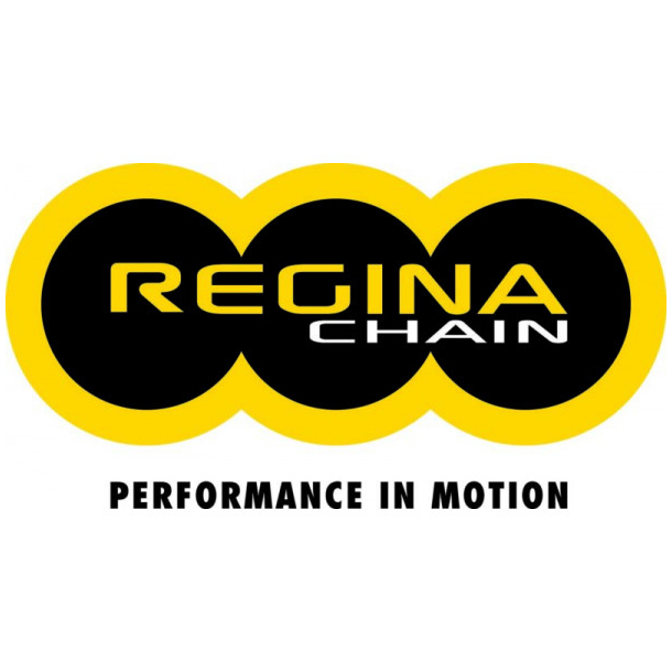 REGINA 428 126RH KDE 132 led guld