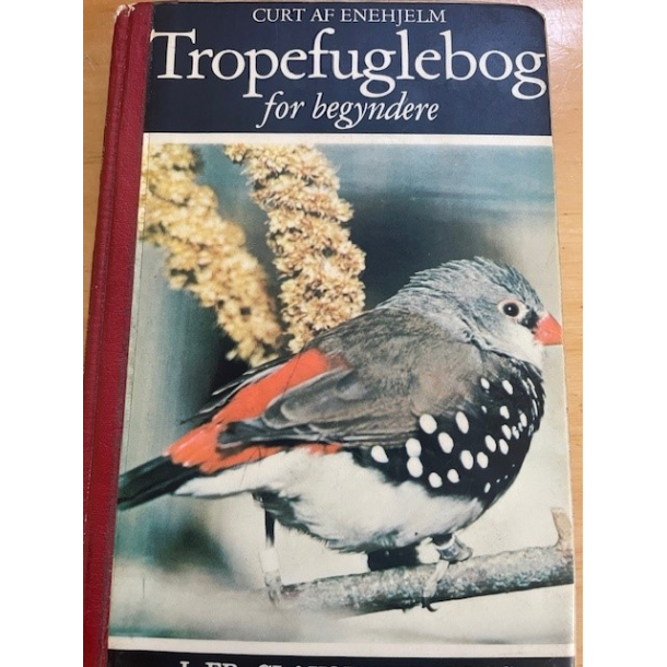 BRUGT RIMELIG STAND Kasseret Biblioteksbog - Fisketuren - Tropefuglebog for begyndere Af Curt Af Enehjelm - Forlag J.Fr, Clausens b�ger 6. udgave 1969 - hardback