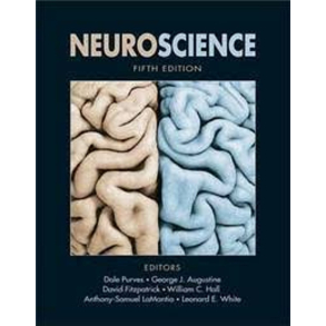 BRUGT RIMELIG STAND MEGET P�NT EKSEMPLAR - Neuroscience - 5th. Edition Hardback - 2012 