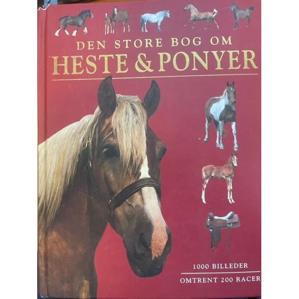 BRUGT RIMELIG STAND Den store bog om heste &amp; ponyer af Tamsin Pickeral