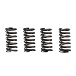 EBC CSK012 KOBLINGSFJEDRE 4 Stk. +15% Clutch spring kit (4PCS PER s�t) HONDA CBR500 CBR600 CX650 GL650 SUZUKI�DR600�GSX750F GSX1100F�GSX-R750�RG500
