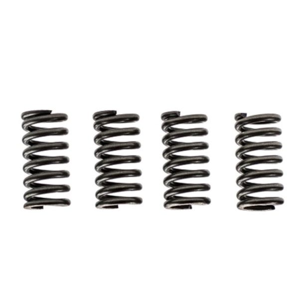 EBC CSK012 KOBLINGSFJEDRE 4 Stk. +15% Clutch spring kit (4PCS PER s�t) HONDA CBR500 CBR600 CX650 GL650 SUZUKI�DR600�GSX750F GSX1100F�GSX-R750�RG500