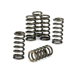 EBC CSK039 KOBLINGSFJEDRE +15% Clutch spring kit 6 stk pr. st Kawasaki Yamaha