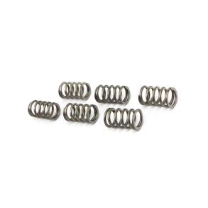 EBC CSK089 KOBLINGSFJEDRE 6 STK forst�rkede 15% Clutch spring kit ( 6PCS PER s�t ) SUZUZKI GSX1400
