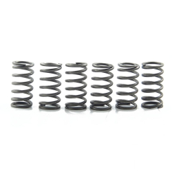 EBC CSK158 Clutch spring kit 6stk Suzuki