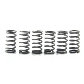 EBC CSK158 Clutch spring kit 6stk Suzuki