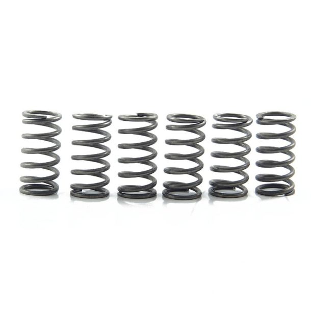 EBC CSK158 Clutch spring kit 6stk Suzuki