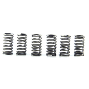 EBC CSK167 KOBLINGSFJEDRE 6 stk. +15% Clutch spring kit (6 pcs) HONDA CB125 CB650 CB900�CBX1000 NSR250 NS400 SUZUKI�RGV250