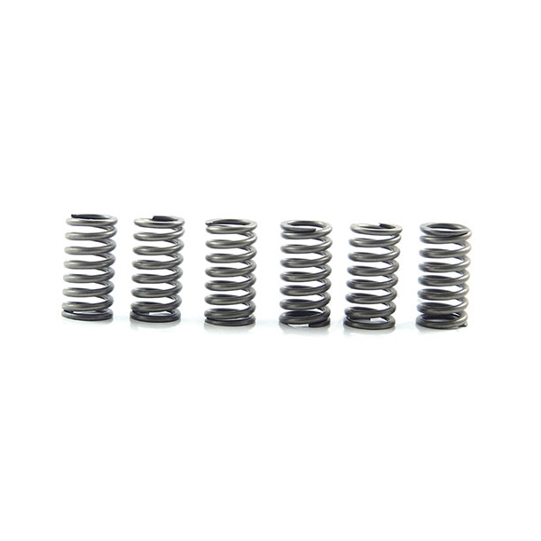 EBC CSK167 KOBLINGSFJEDRE 6 stk. +15% Clutch spring kit (6 pcs) HONDA CB125 CB650 CB900�CBX1000 NSR250 NS400 SUZUKI�RGV250